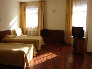 Отель Borika Hotel Чепеларе Двухместный номер с 2 отдельными кроватями и видом на горы-1
