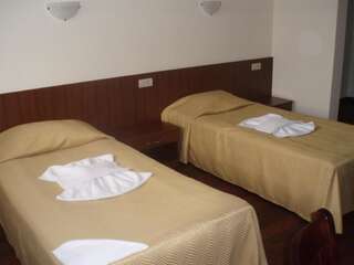 Отель Borika Hotel Чепеларе Двухместный номер с 2 отдельными кроватями и видом на горы-3