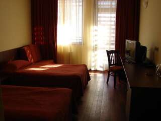Отель Borika Hotel Чепеларе Двухместный номер с 2 отдельными кроватями и видом на горы-4